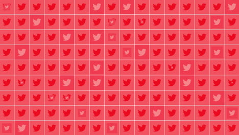Social-Twitter-icons-pattern-on-network-background-1