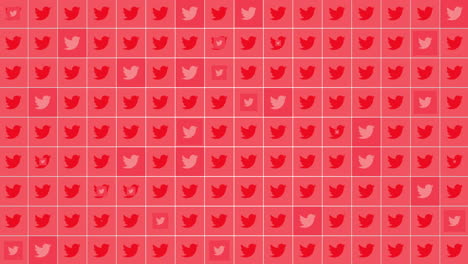 Patrón-De-Iconos-De-Twitter-Social-En-El-Fondo-De-La-Red-1