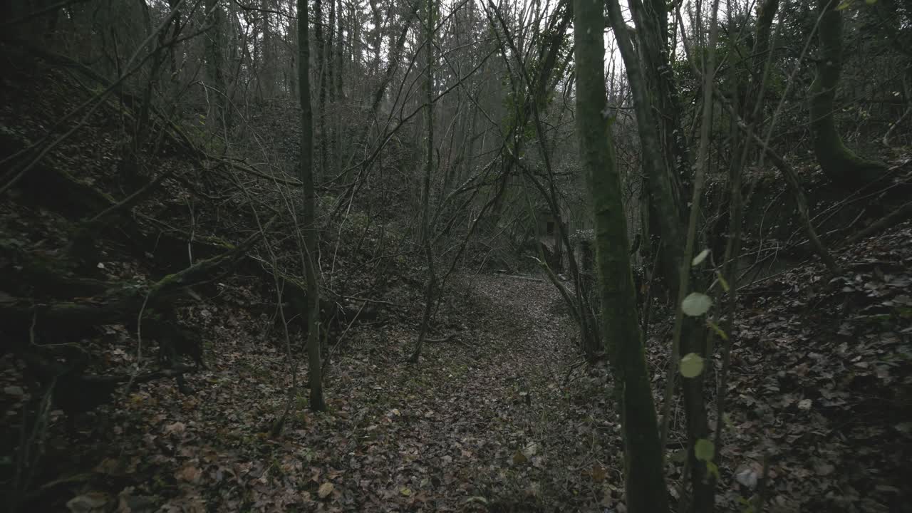 군사 요새 구역의 일부인 숲 한가운데 버려진 병원