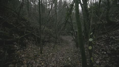 hospital abandonado en medio del bosque que forma parte de la zona de fortificación militar