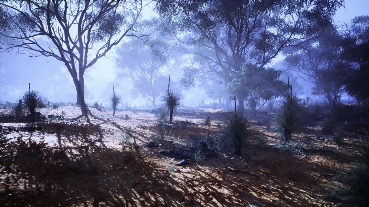 Una sagoma ombreggiata avanza attraverso una foresta nebbiosa sotto un'illuminazione blu.