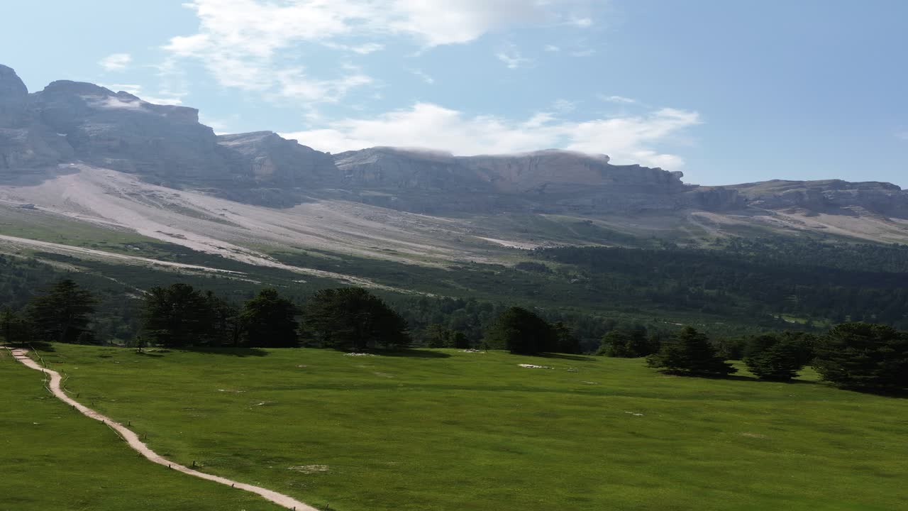 Drone footage starting low over a dense forest and gradually rising to showcase the impressive Dolomites, bathed in sunlight and framed by a clear blue sky in northern Italy.