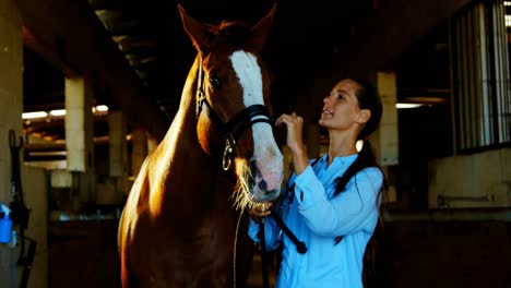 médico veterinario acariciando a un caballo 4k