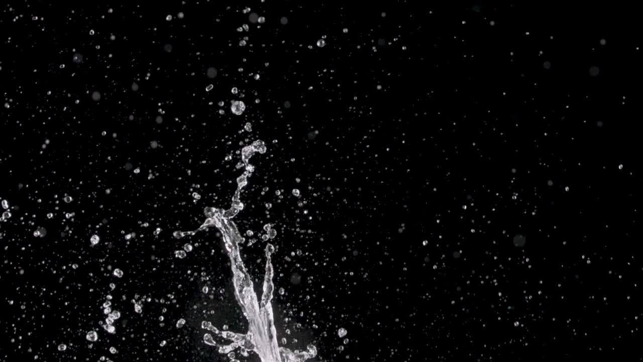 물이 올라오고 있습니다.