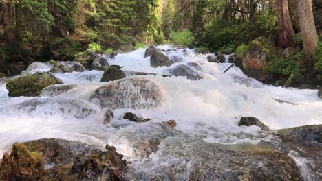 Río-De-Montaña-En-El-Bosque.-Hermoso-Paisaje-De-Vida-Silvestre.