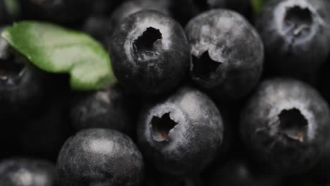 micro video of close up of blueberries with copy space