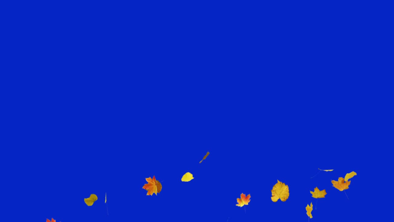 가을 잎이 떨어지는 것