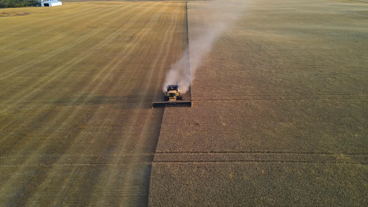 Vista aérea de drone da frente de uma colheitadeira moderna colhendo cereais ao pôr do sol em Alberta, Canadá