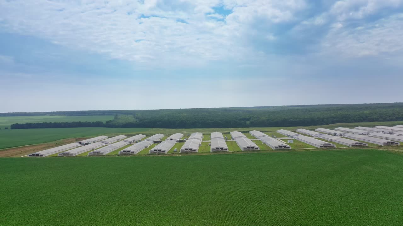Side view to the huge modern farm outdoors. Modern farming complex surrounded by green fields in a summer day. Drone view.