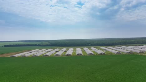 side view to the huge modern farm outdoors. modern farming complex surrounded by green fields in a summer day. drone view.