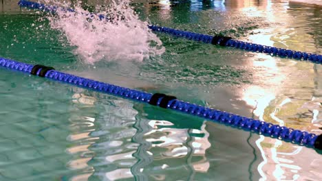 fit swimmer diving into swimming pool