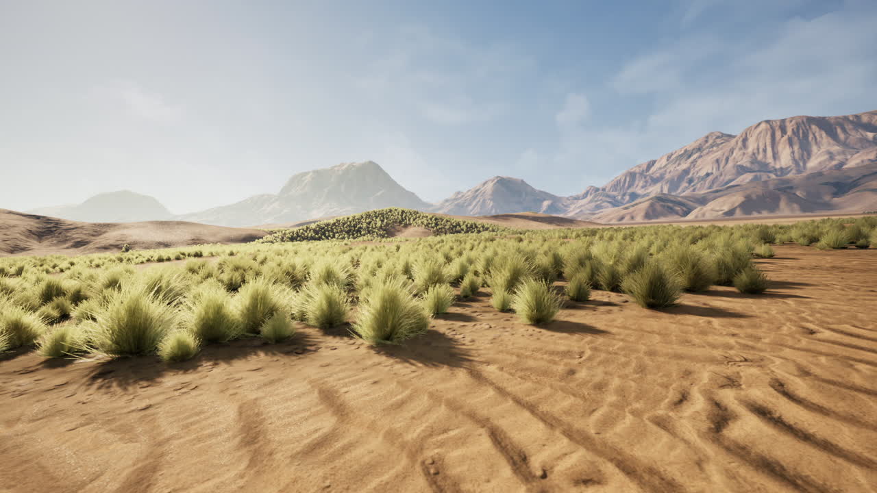 풀과 산이 있는 사막 풍경