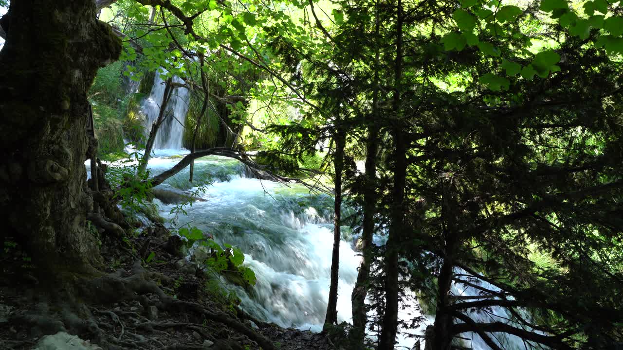 A powerful river immerse in the national park of Paklenica in Zadar, Croatia