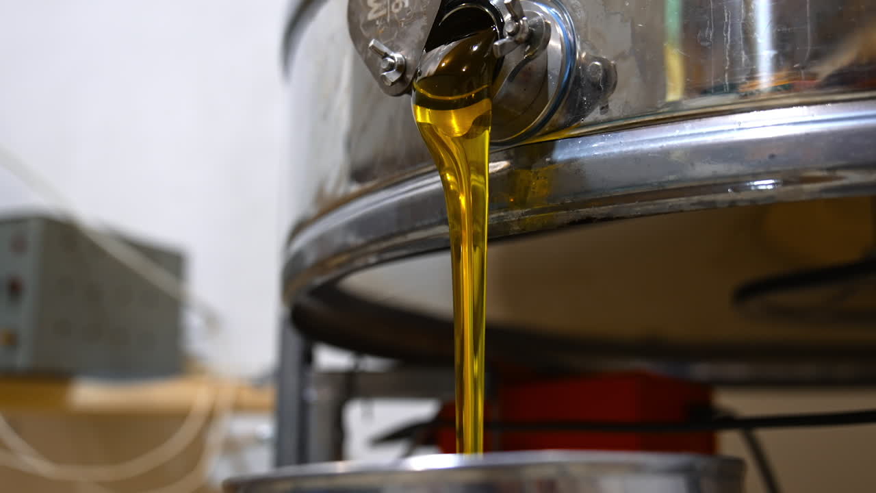 Honey freshly picked from frames and flowing from centrifuge machine. Close up. Process of gathering honey at apiary.