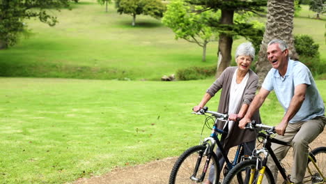 Pareja-De-Jubilados-En-El-Parque-Andando-En-Bicicleta