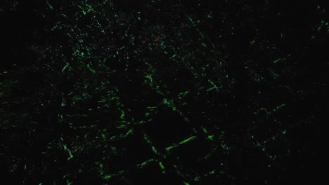 patrones de luz en los árboles como el efecto de las aguas profundas en los jardines botánicos de osaka