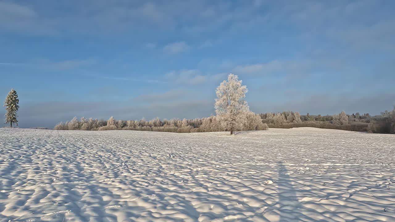 나무에 서리가 내린 눈 덮인 겨울 풍경과 걷는 사람의 그림자