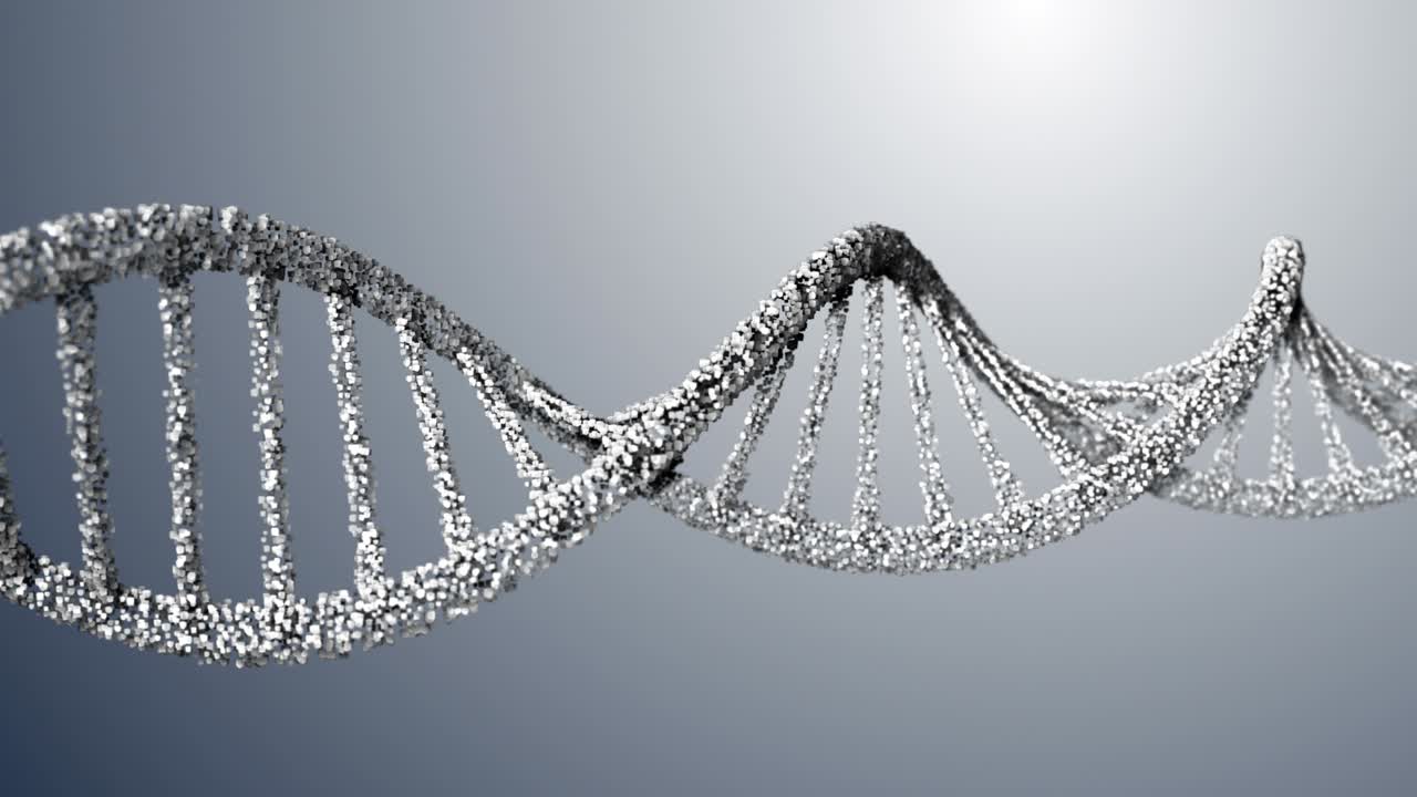 modelo de molécula de adn del plexo