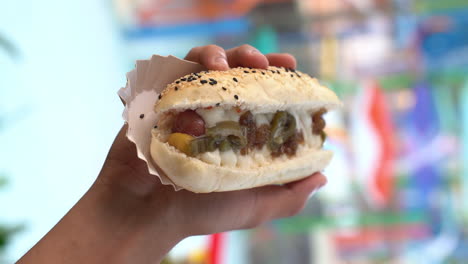 vertical of a hand holding delicious hotdog sandwich. closeup