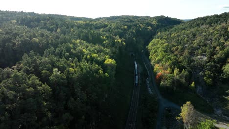 train traveling through lush green forest