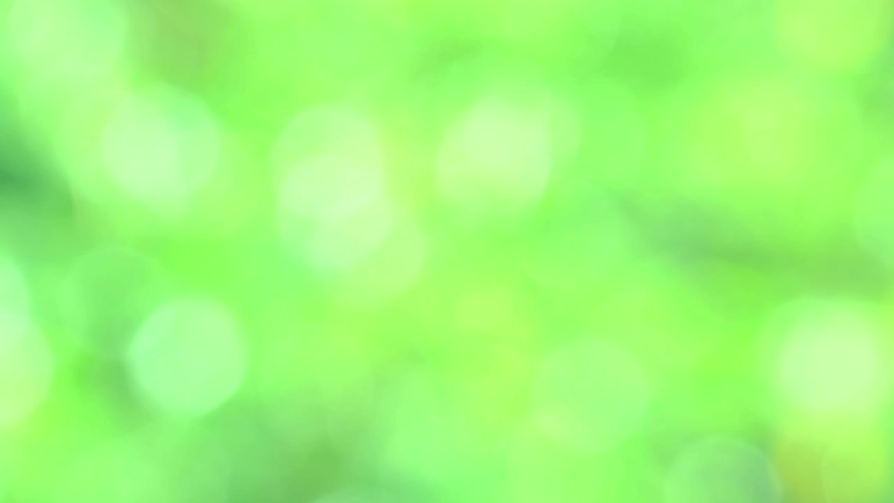 fondo biológico, abstracto follaje borroso luz solar brillante