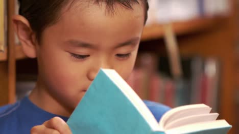 Lindo-Niño-Asiático-Leyendo-Un-Libro