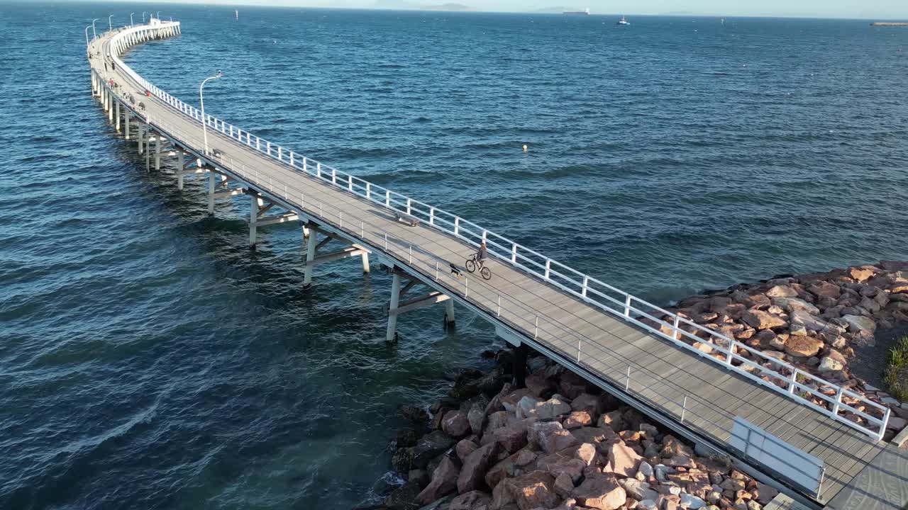개와 함께 자전거를 타고 있는 사람 의 공중 도 사진