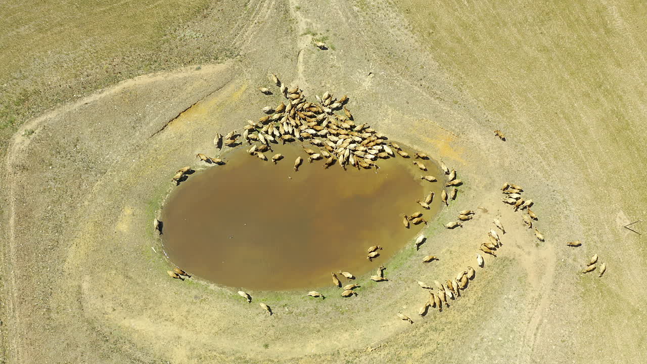 우리는 모두 결국 물 구 ⁇ 이로 돌아갑니다.