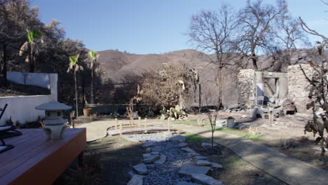 árboles quemados que rodean un jardín intacto en malibu california