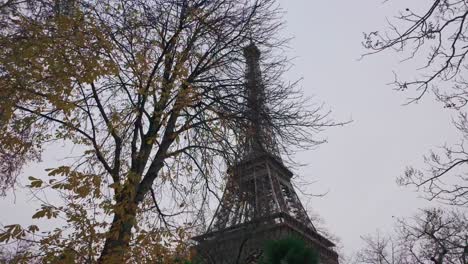 b-roll de la torre eiffel detrás de los árboles en un día nublado