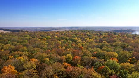 beautiful autumn forest. colourful autumn colours in forest form above