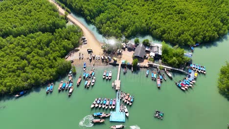 drone footage captures a vibrant fishing village surrounded by lush mangroves in phang nga, thailand, showcasing local boats and piers