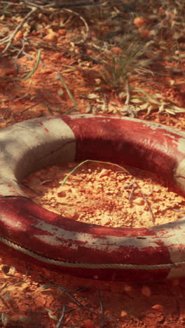 old life preserver in the desert