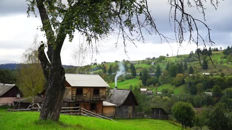 vista del campo con viaje en tren en segundo plano