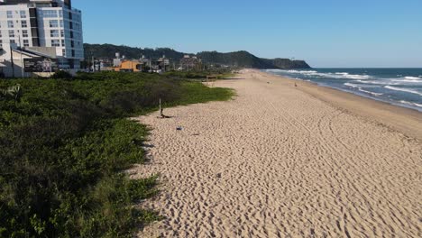 drone shot of the beach of praia brava in brazil