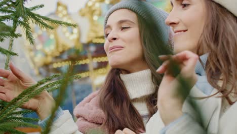 Video-Von-Zwei-Frauen,-Die-Sich-Nicht-Entscheiden-Können,-Welchen-Weihnachtsbaum-Sie-Kaufen-Sollen