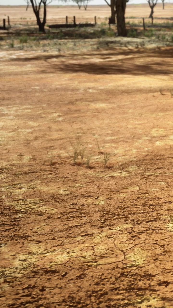Dry soil shows cracks on land in an open area during daylight hours