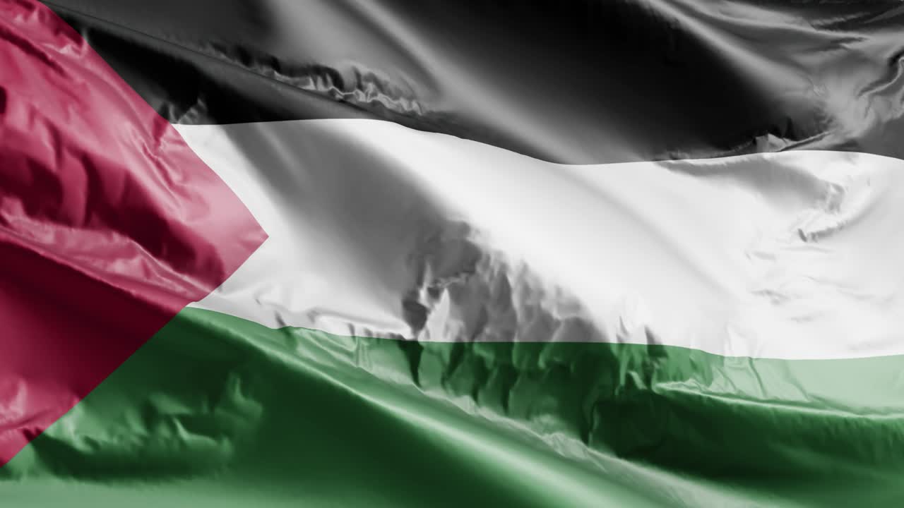la bandera de palestina ondeando en el bucle del viento. la bandera palestina balanceándose en la brisa. el fondo de relleno completo. bucle de 10 segundos.