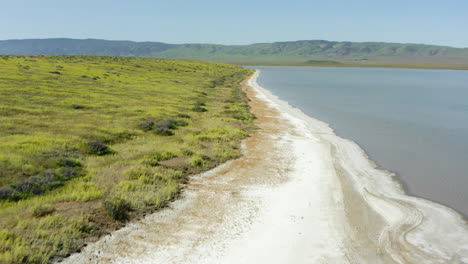 A-drone-advances-over-the-magnificent-Carrizo-Plains-Foothills-in-California,-revealing-the-beautiful-contrast-of-greenery,-water,-and-mountains-in-stunning-detail