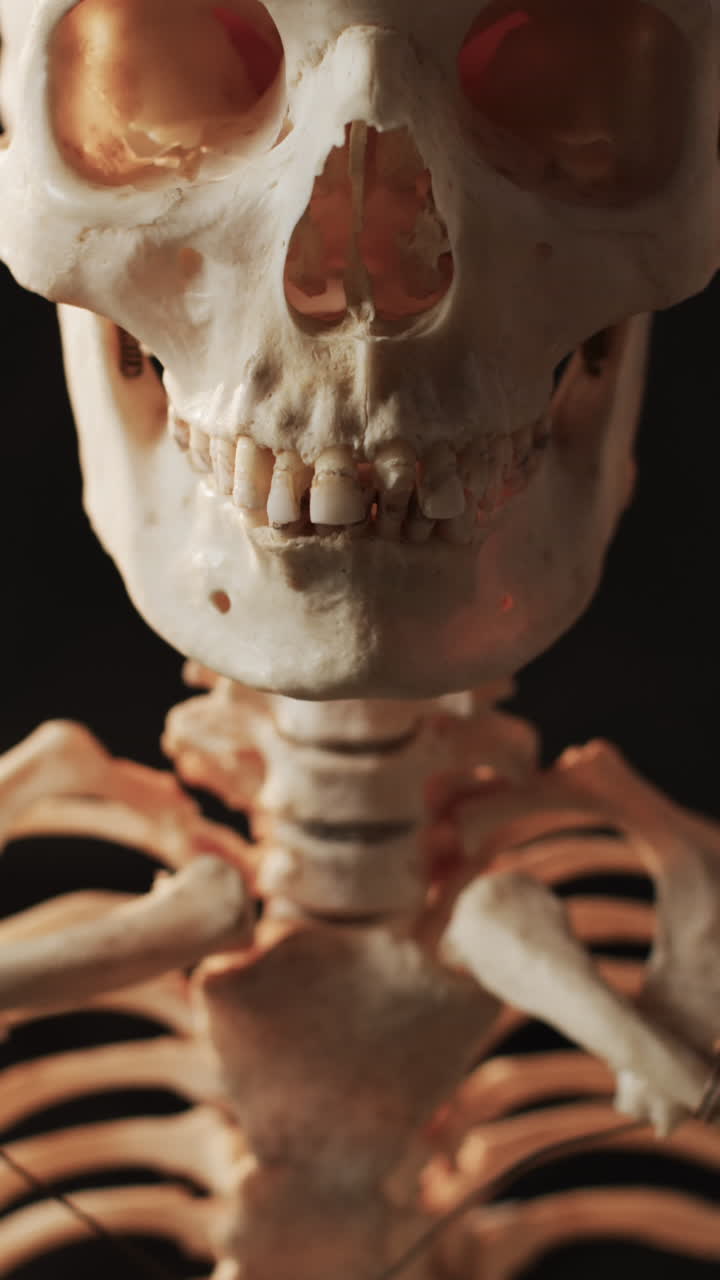 Vertical video of close up of halloween skeleton with copy space on black background