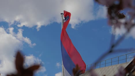 Bandera-De-Eslovaquia-Ondeando-Al-Viento-Detrás-De-Las-Ramas-De-Los-árboles,-Inclinada-Hacia-Arriba