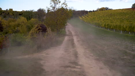 fast action dolly shot of dusty country road along vineyard in autumn