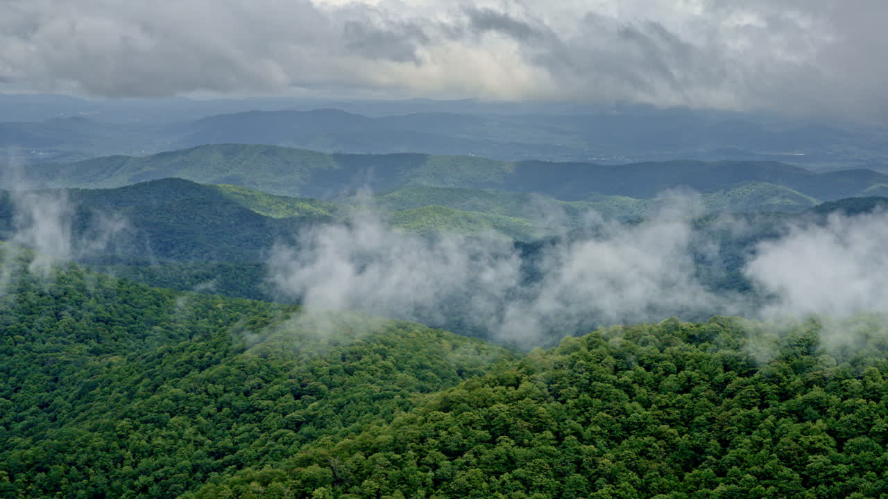 Drone footage reveals foggy forest canopies under a gentle rain in the Smoky wilds