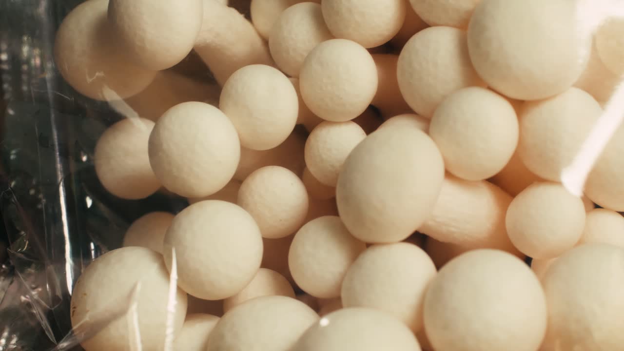 White Button Mushrooms in Plastic Packaging