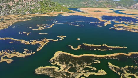 islands of reeds with swamps and straits of dalyan river near mediterranean seaside, turkey