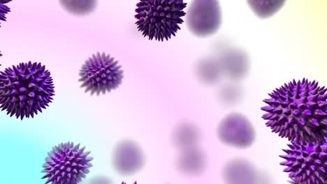 purple virus moving