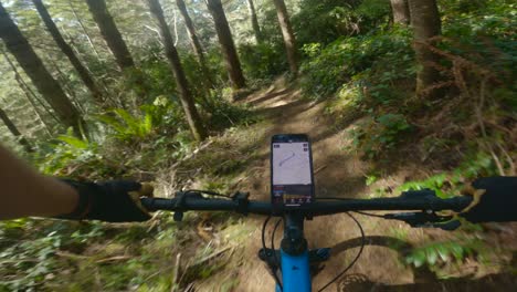 grandes cantos bancários em belas coberturas de marga sob as copas das trilhas da floresta para mountain bike no noroeste do pacífico