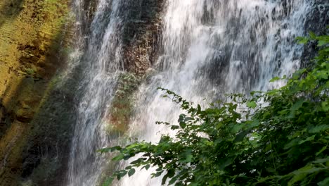 colorful moss and trees with gushing waterfall in the middle of cleveland ohio