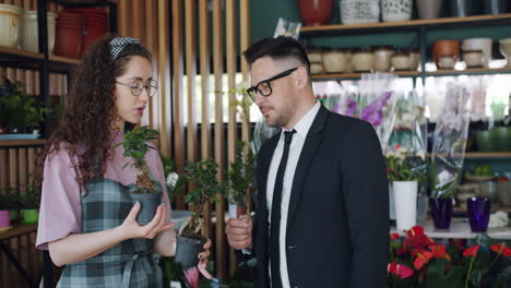 customer looking at bonsai in a flower shop