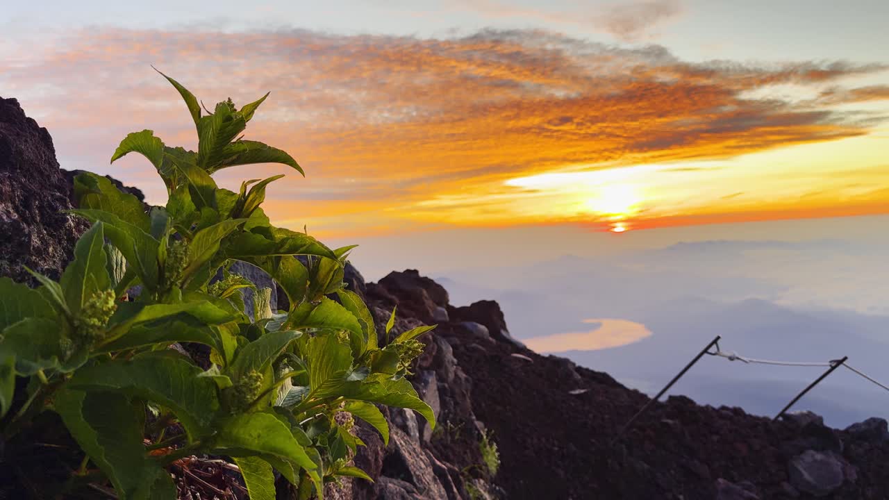 Witness a spectacular sunrise from the summit of Mount Fuji, where golden light bathes the clouds and landscapes below